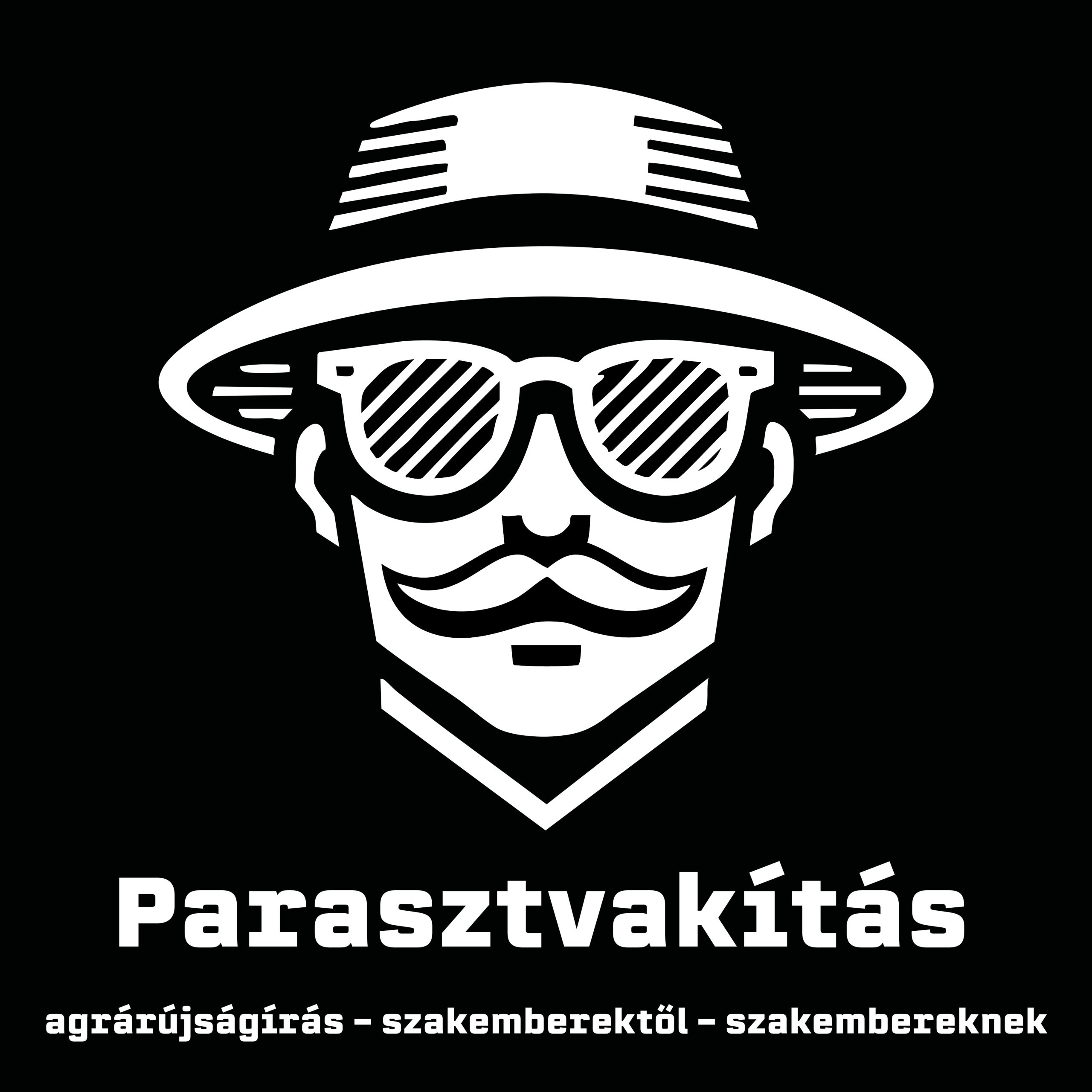 Parasztvakítás